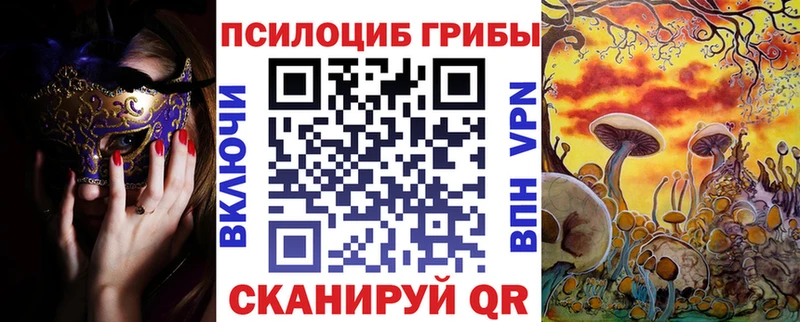наркота  Плёс  Псилоцибиновые грибы прущие грибы 